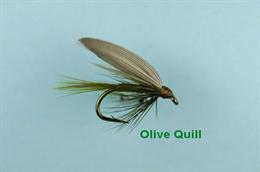 Olive Quill
